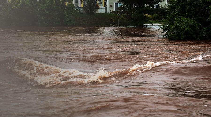 Why choose water damage restoration service for storm damage restoration in Colorado Springs